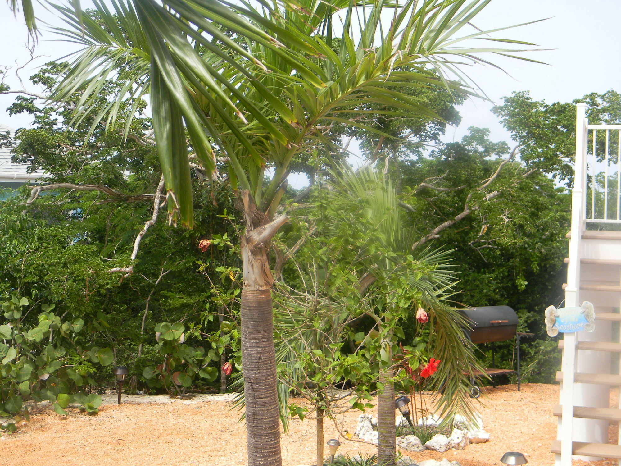 Harbor Breeze Villas Clarence Town Esterno foto