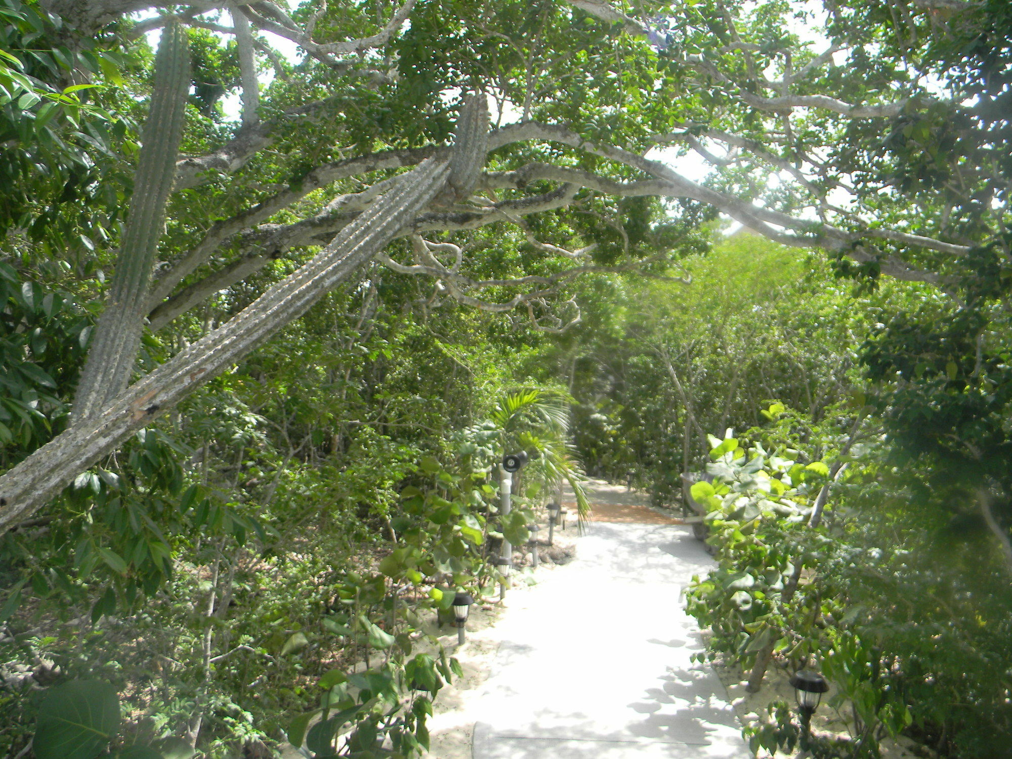 Harbor Breeze Villas Clarence Town Esterno foto