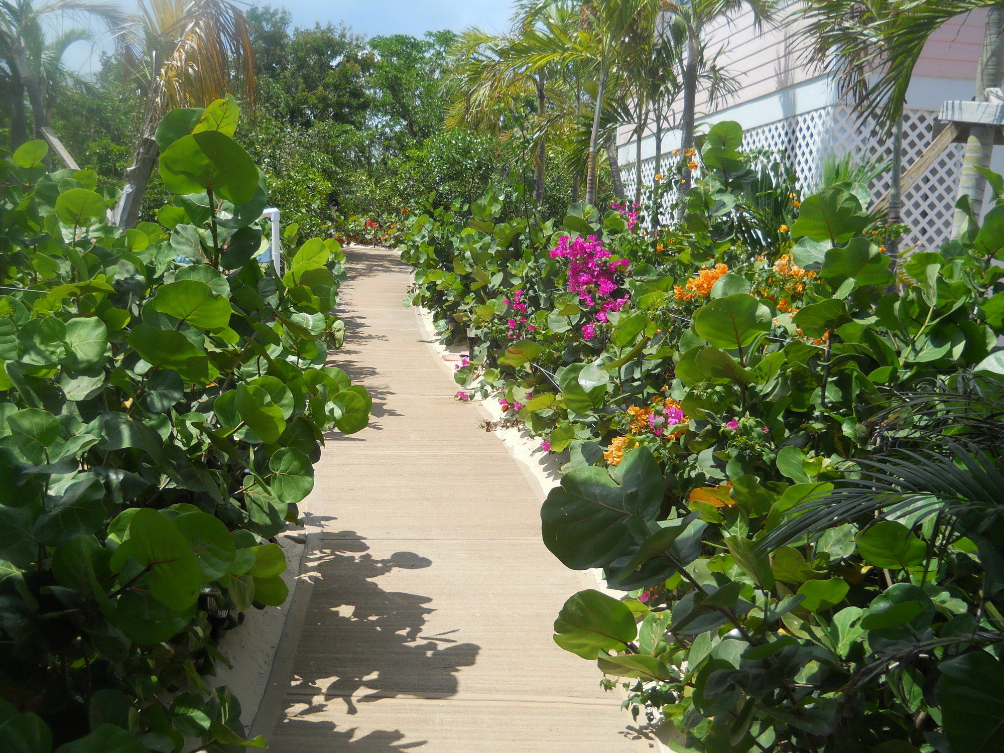 Harbor Breeze Villas Clarence Town Esterno foto